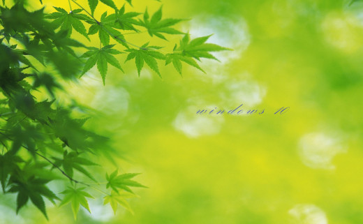 1172725 (a): :2558x1575